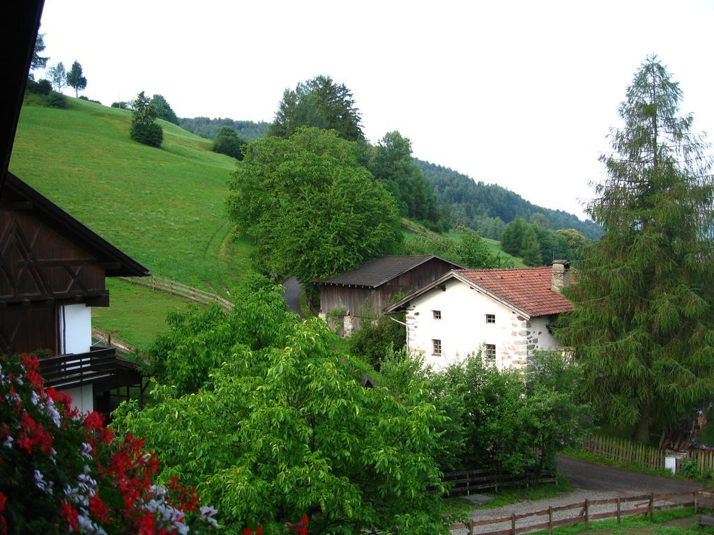 Dillerhof Apartment Laion Exterior photo